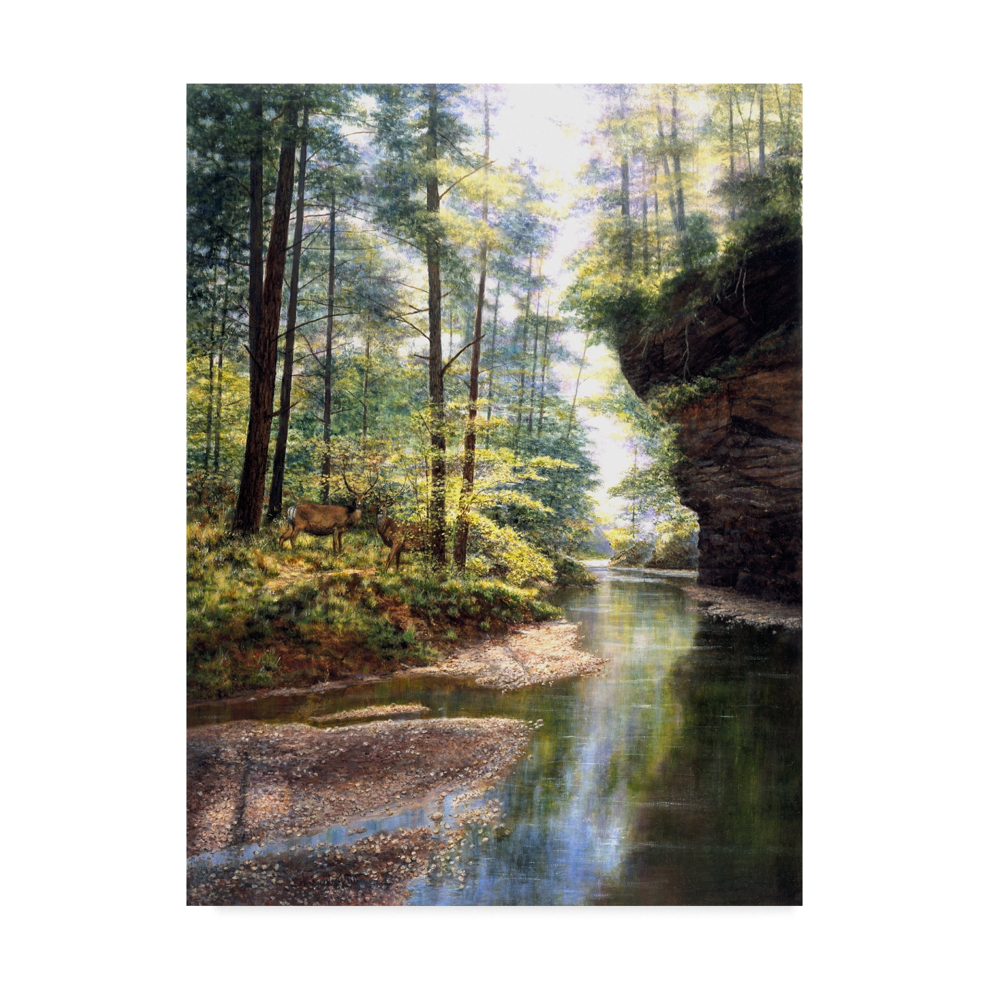 Trademark Fine Art 'Quiet Forest' Canvas Art by Bill Makinson
