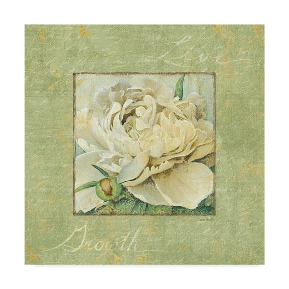 Trademark Fine Art 'Quiet Petals II' Canvas Art by Lisa Audit