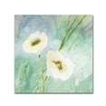 thumbnail image 1 of Trademark Fine Art 'Quiet Pond' Canvas Art by Sheila Golden, 1 of 3