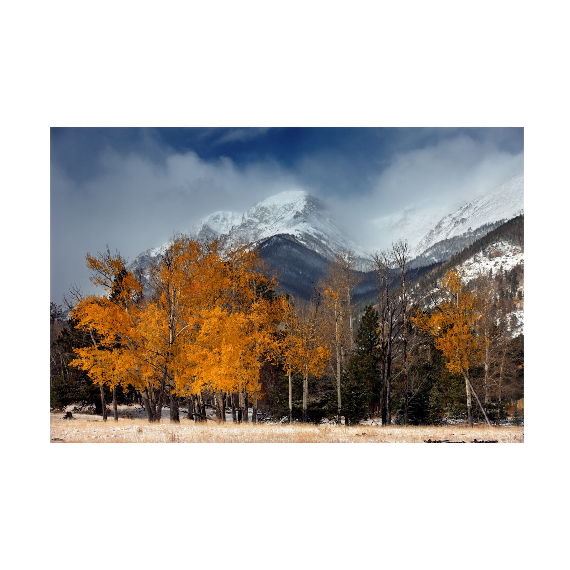 Trademark Fine Art 'RMNP Aspens and Storm Clouds' Canvas Art by Mike Jones Photo