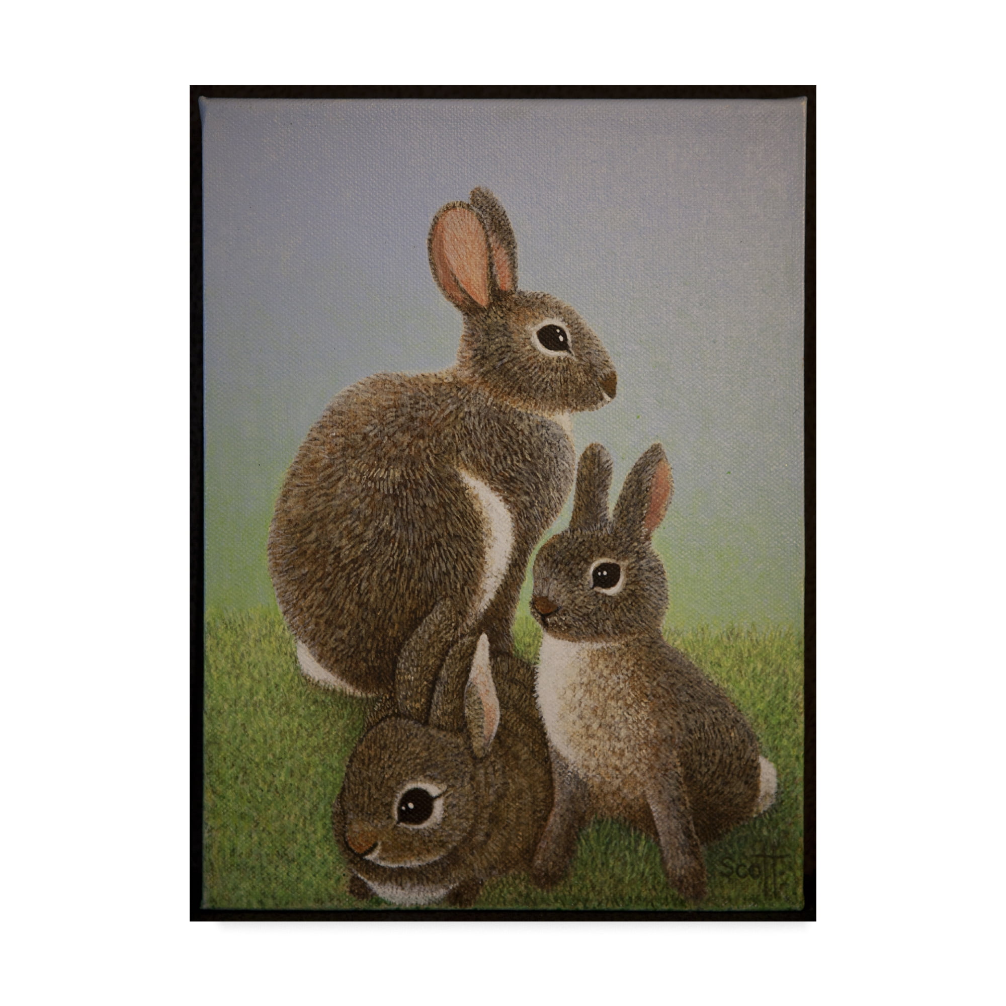 Trademark Fine Art 'Rabbit Family, 2016' Canvas Art by Pat Scott
