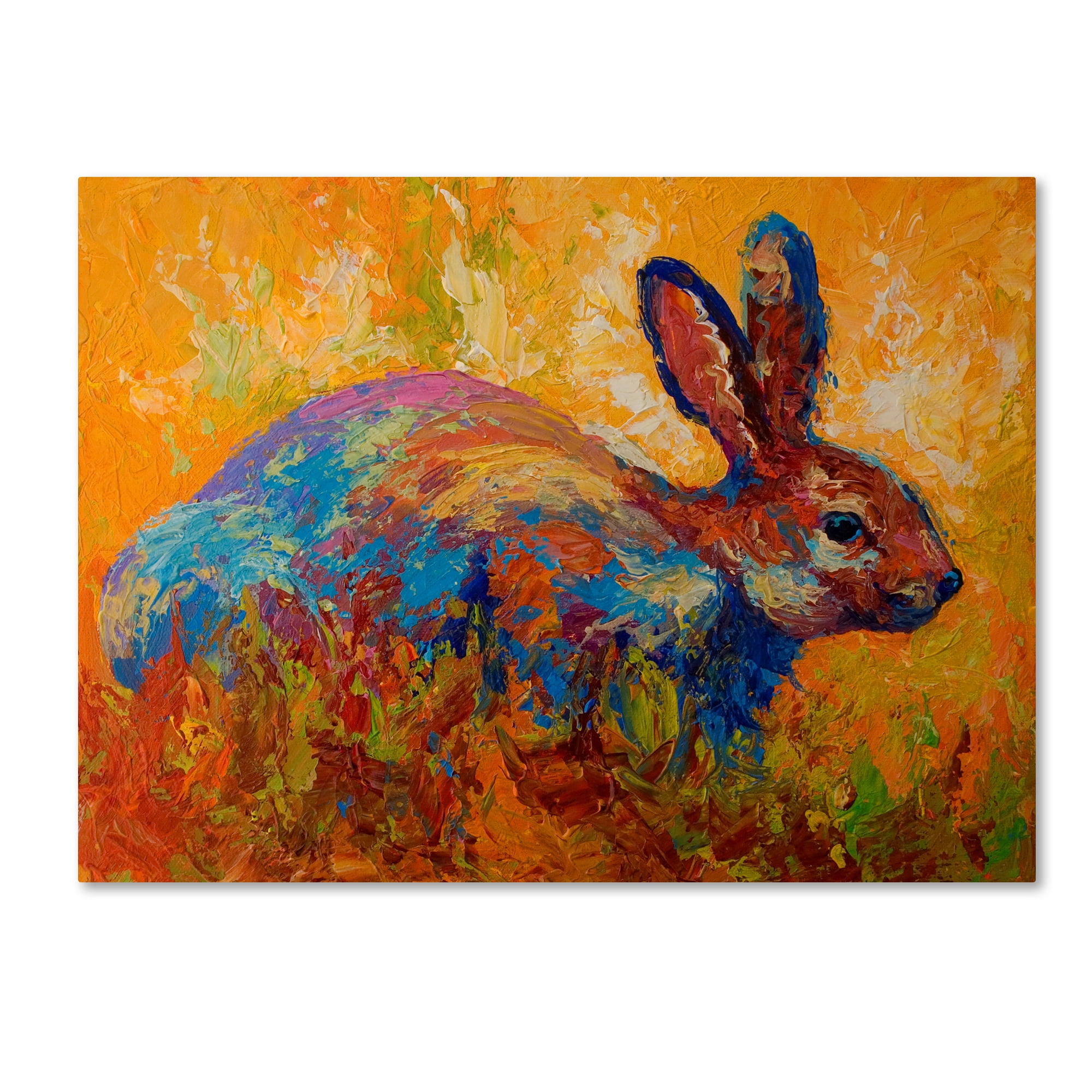 Trademark Fine Art 'Rabbit II' Canvas Art by Marion Rose