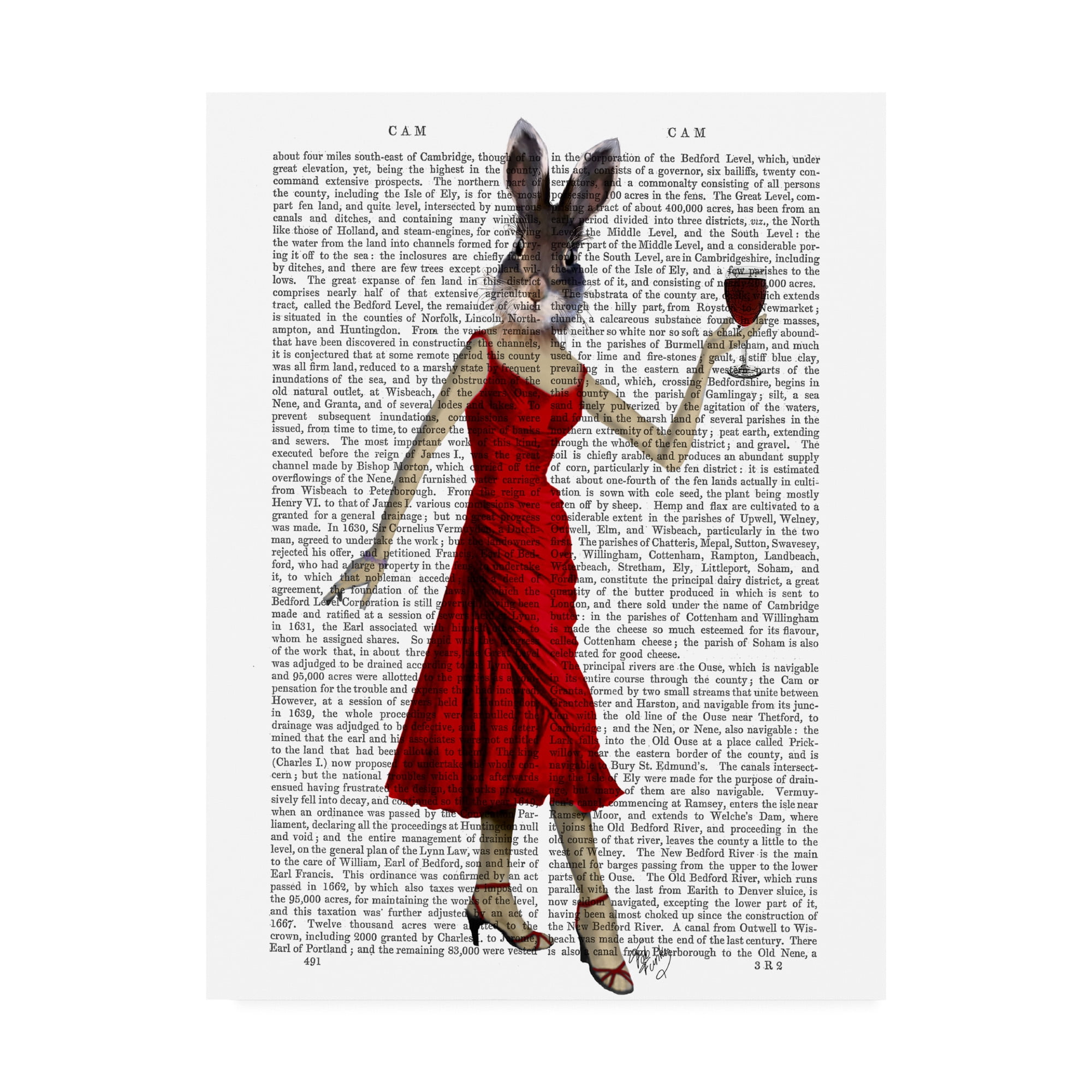 Trademark Fine Art 'Rabbit In Red Dress' Canvas Art by Fab Funky