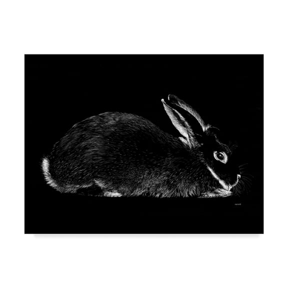 Trademark Fine Art 'Rabbit Portrait' Canvas Art by Geraldine Aikman