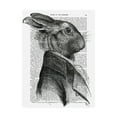 thumbnail image 1 of Trademark Fine Art 'Rabbit Portrait, Profile' Canvas Art by Fab Funky, 1 of 3