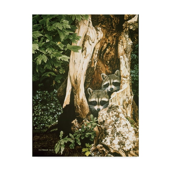 Trademark Fine Art 'Raccoon Pair' Canvas Art by Ron Parker