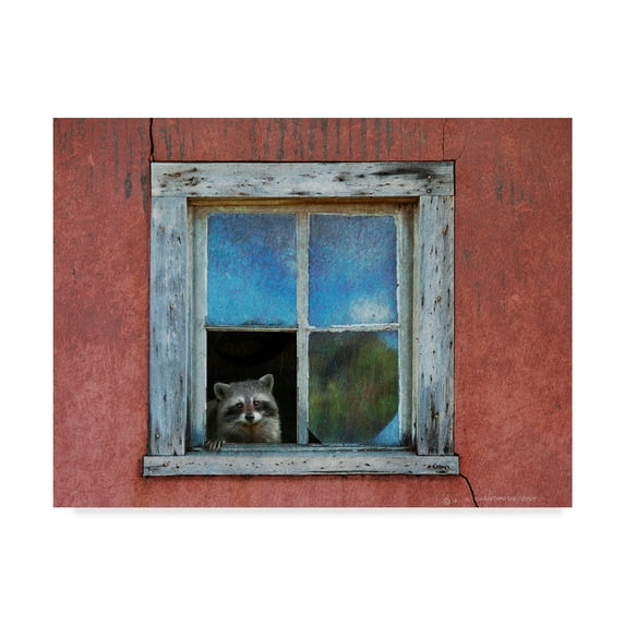 Trademark Fine Art 'Raccoon Window' Canvas Art by Chris Vest