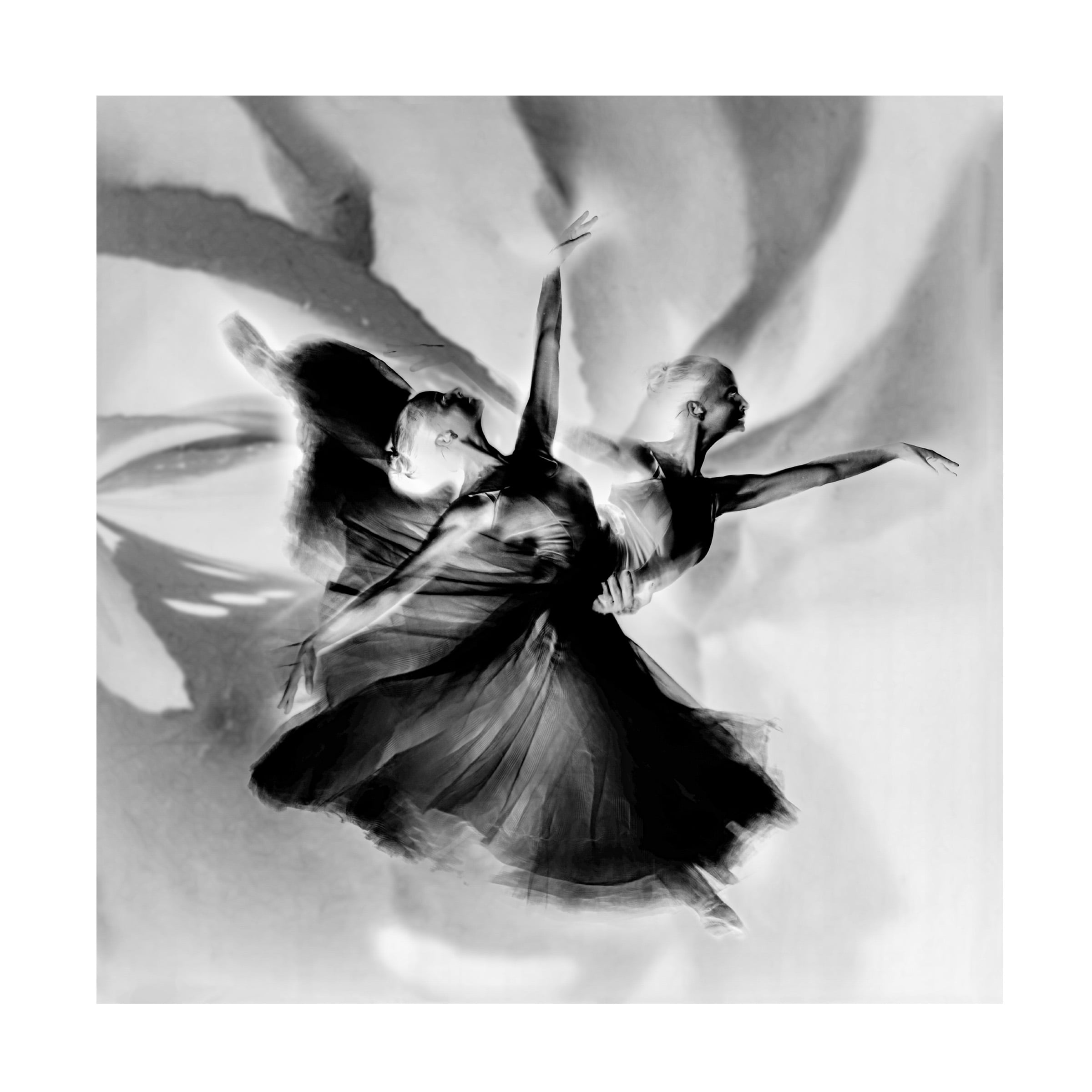 Trademark Fine Art Rachel Pansky  Dance in black and white Canvas Wall Art