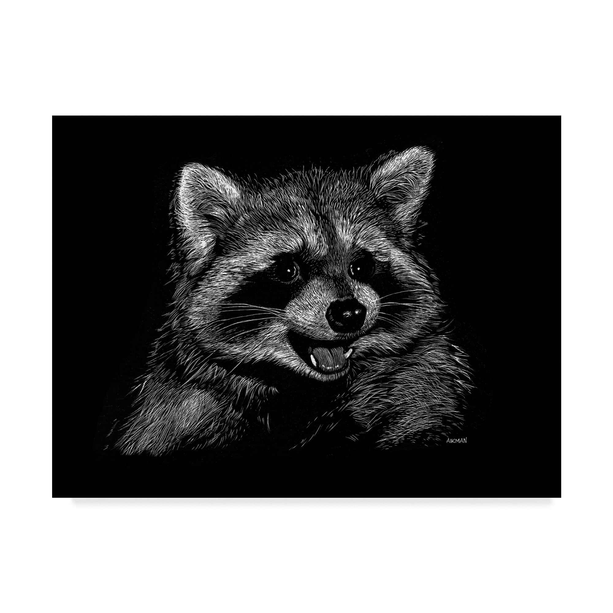 Trademark Fine Art 'Racoon' Canvas Art by Geraldine Aikman