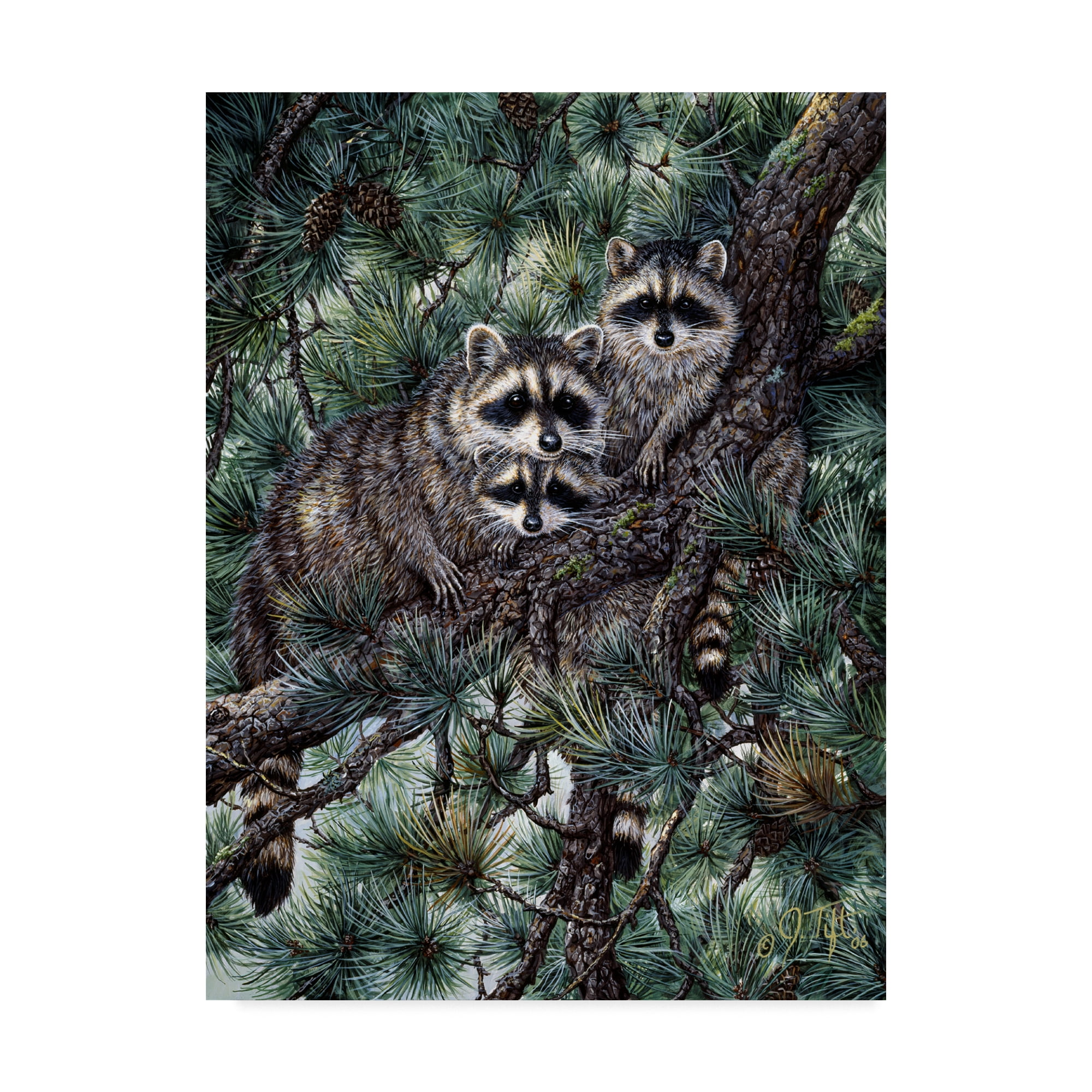 Trademark Fine Art 'Racoons' Canvas Art by Jeff Tift