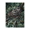 thumbnail image 1 of Trademark Fine Art 'Racoons' Canvas Art by Jeff Tift, 1 of 3