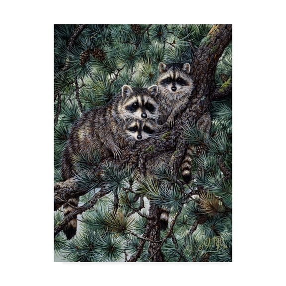 Trademark Fine Art 'Racoons' Canvas Art by Jeff Tift