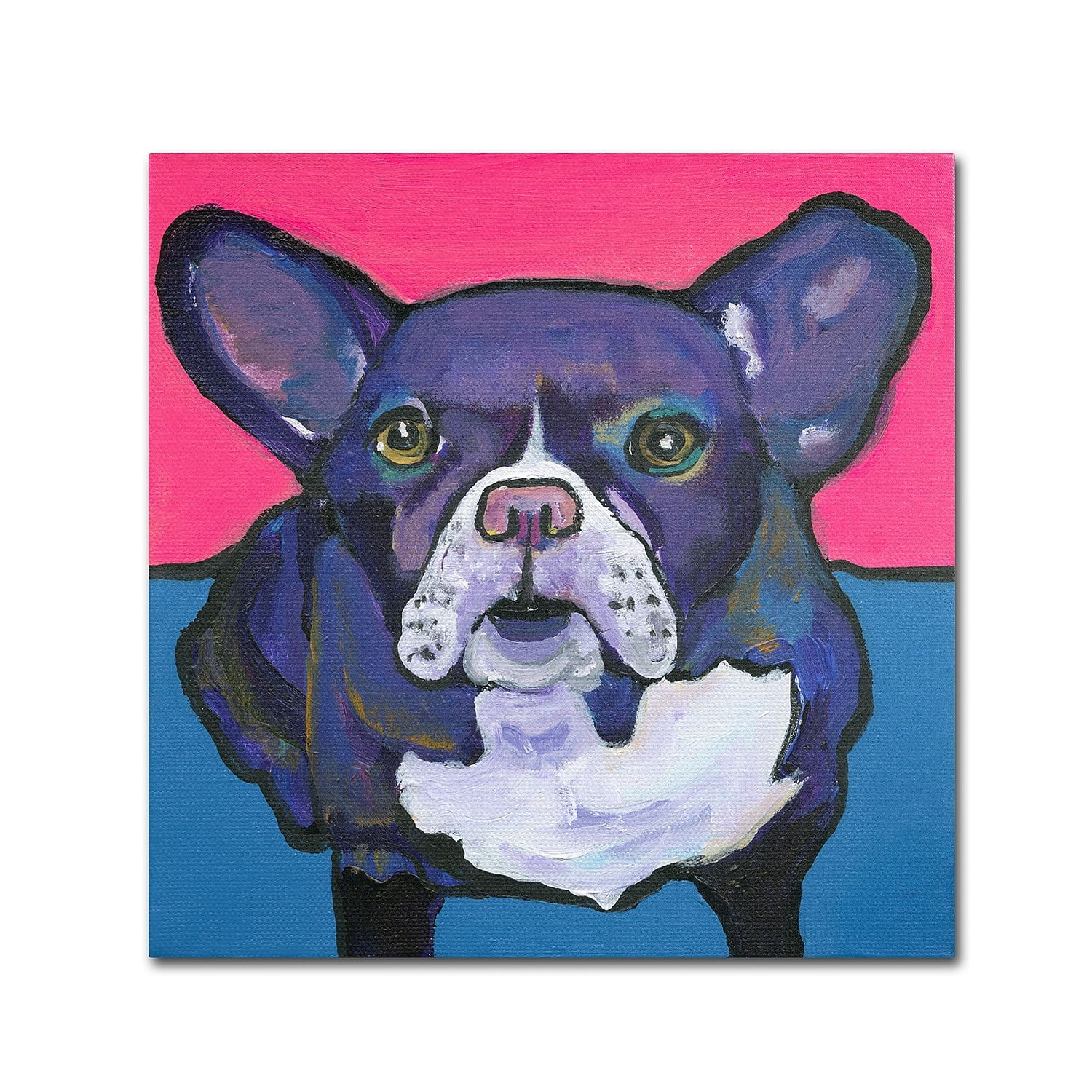 Trademark Fine Art "Radar" Canvas Art by Pat Saunders-White
