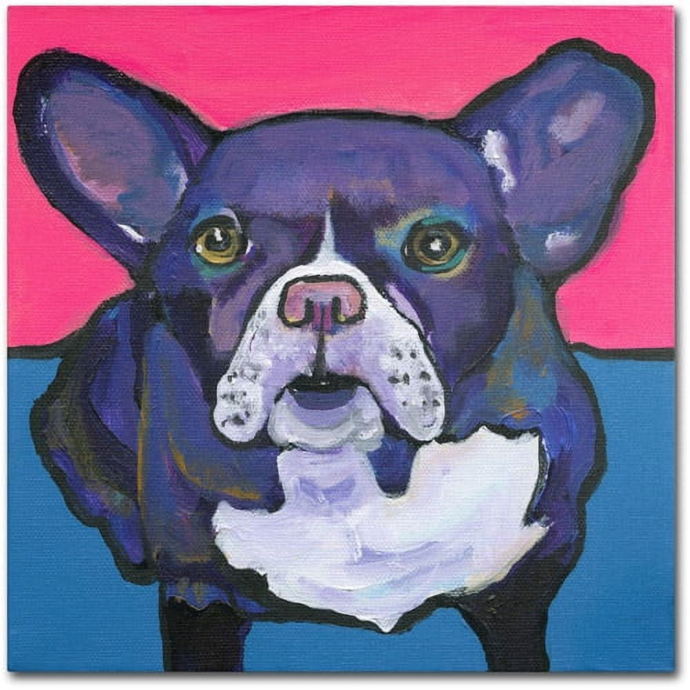 Trademark Fine Art "Radar" Canvas Art by Pat Saunders-White