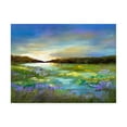 thumbnail image 1 of Trademark Fine Art 'Radiant Evening' Canvas Art by Sheila Finch, 1 of 4