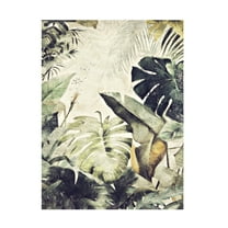 Trademark Fine Art Rafal Kulik Jungle 2 Canvas Wall Art