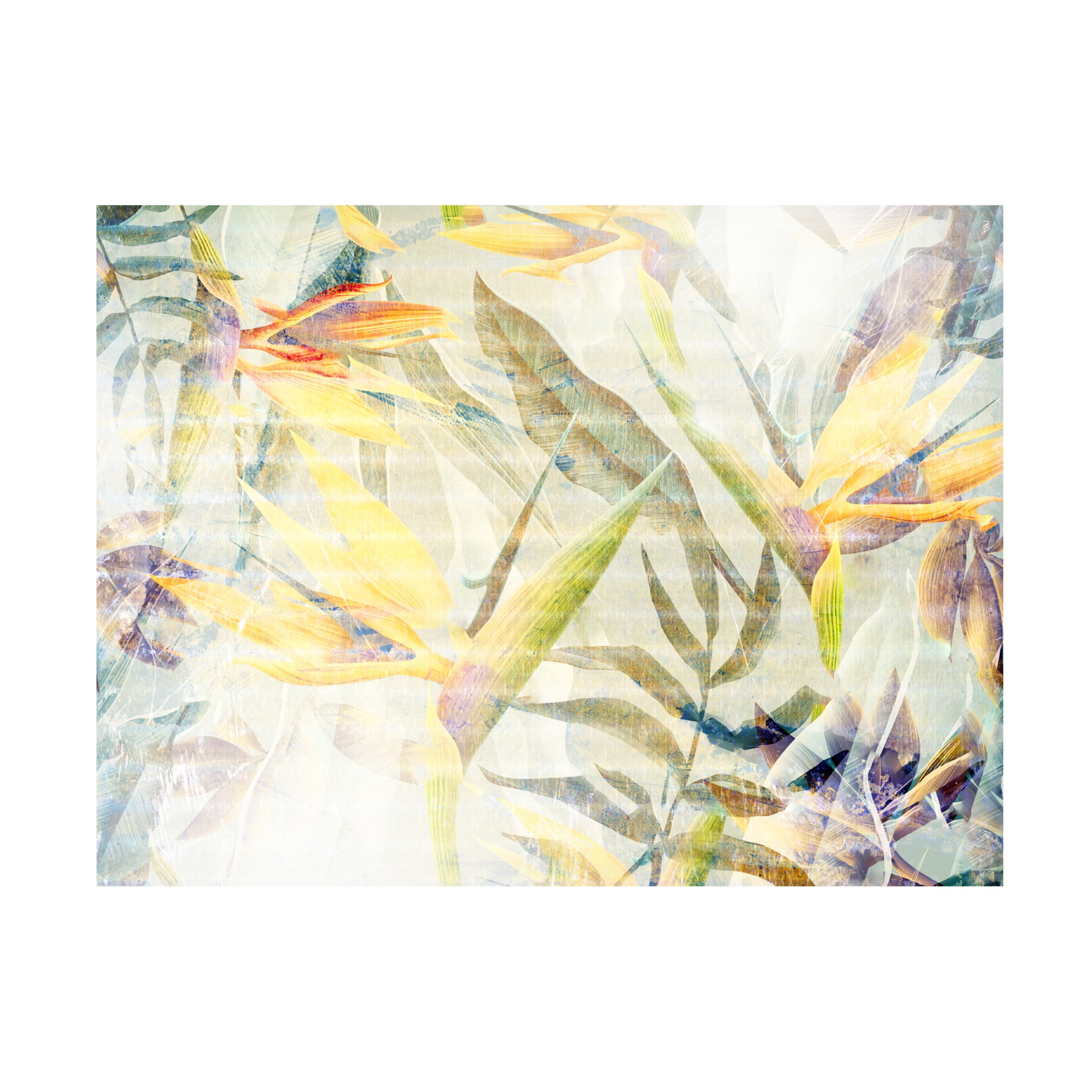 Trademark Fine Art Rafal Kulik  Ombre jungle Canvas Wall Art