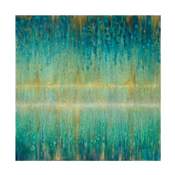 Trademark Fine Art 'Rain Abstract I' Canvas Art by Danhui Nai