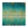 thumbnail image 1 of Trademark Fine Art 'Rain Abstract I' Canvas Art by Danhui Nai, 1 of 3