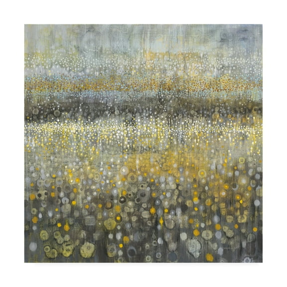 Trademark Fine Art 'Rain Abstract II' Canvas Art by Danhui Nai