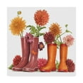 thumbnail image 1 of Trademark Fine Art 'Rain Boots And Flowers' Canvas Art by Francien Van Westering, 1 of 3