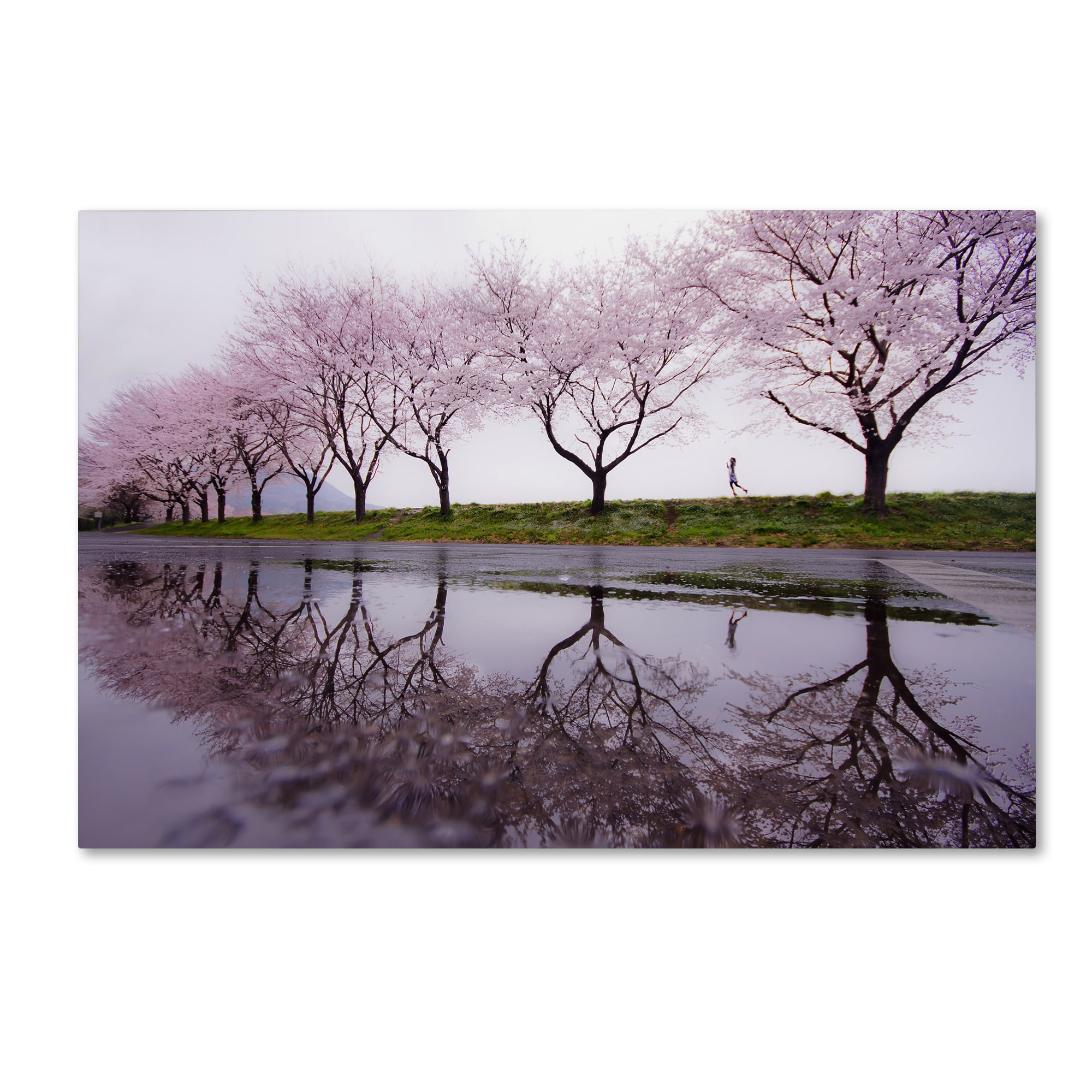 Rain of Spring Landscape Canvas Art with Cherry Blossoms