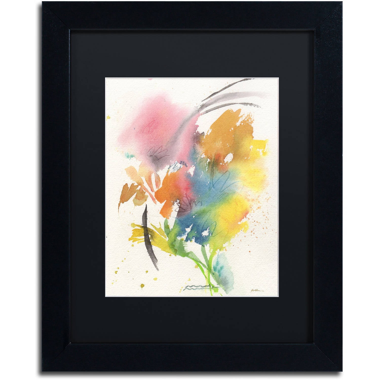 Trademark Fine Art "Rainbow Bouquet" Canvas Art by Sheila Golden, Black Matte, Black Frame
