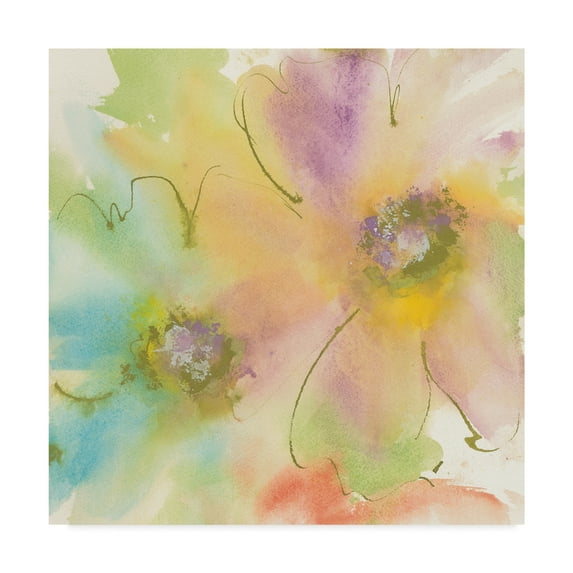 Trademark Fine Art 'Rainbow Cosmos II' Canvas Art by Chris Paschke