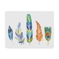 thumbnail image 1 of Trademark Fine Art 'Rainbow Feathers III' Canvas Art by Farida Zaman, 1 of 3