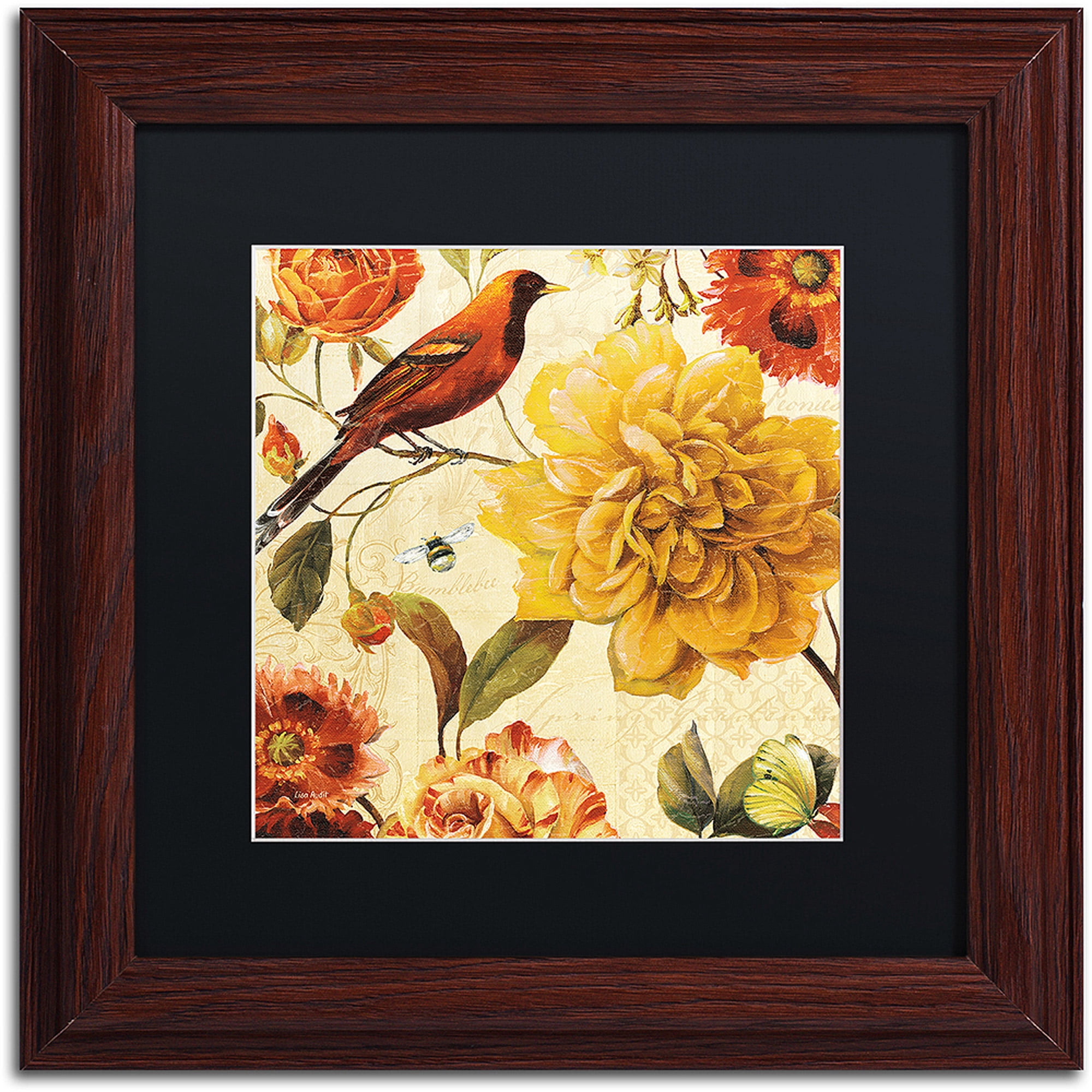 Trademark Fine Art "Rainbow Garden Spice II" Canvas Art by Lisa Audit, Black Matte, Wood Frame