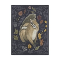 Trademark Fine Art 'Rainbow Harvest III' Canvas Art by Grace Popp