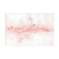Trademark Fine Art 'Rainbow Seeds Abstract Blush Gray Crop' Canvas Art by Lisa Audit
