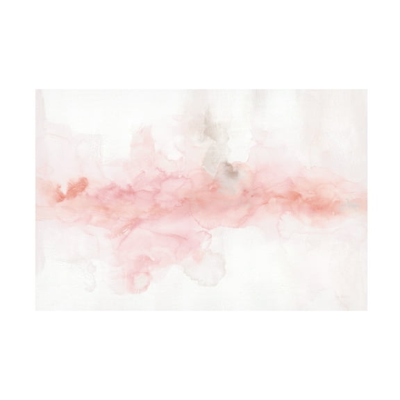 Trademark Fine Art 'Rainbow Seeds Abstract Blush Gray Crop' Canvas Art by Lisa Audit