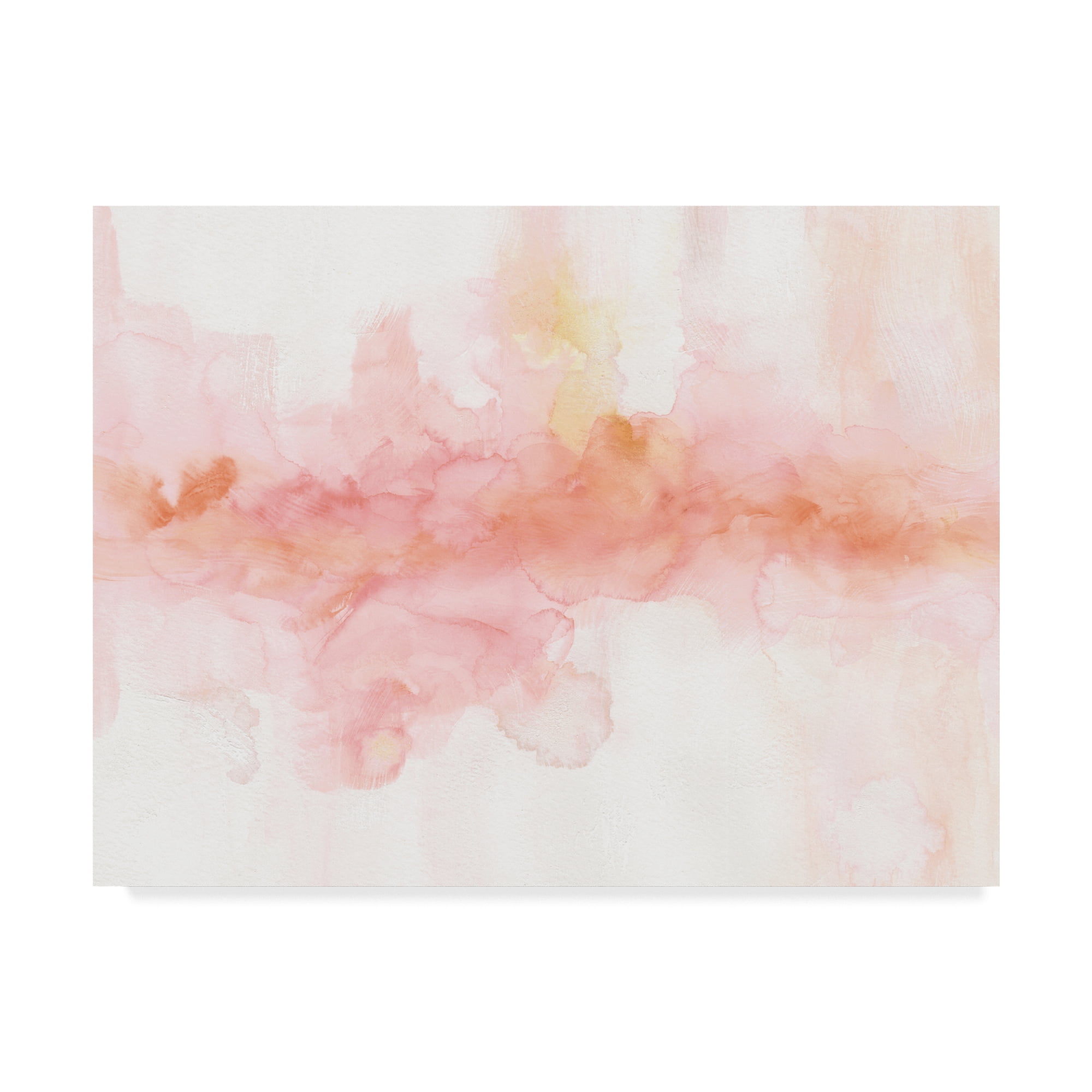 Trademark Fine Art 'Rainbow Seeds Abstract' Canvas Art by Lisa Audit