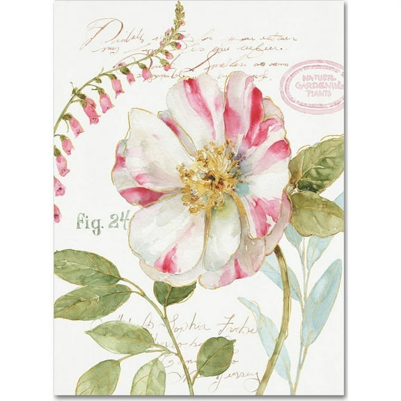 Trademark Fine Art Lisa Audit Rainbow Seeds Botanical II Canvas Wall Art - 14x19