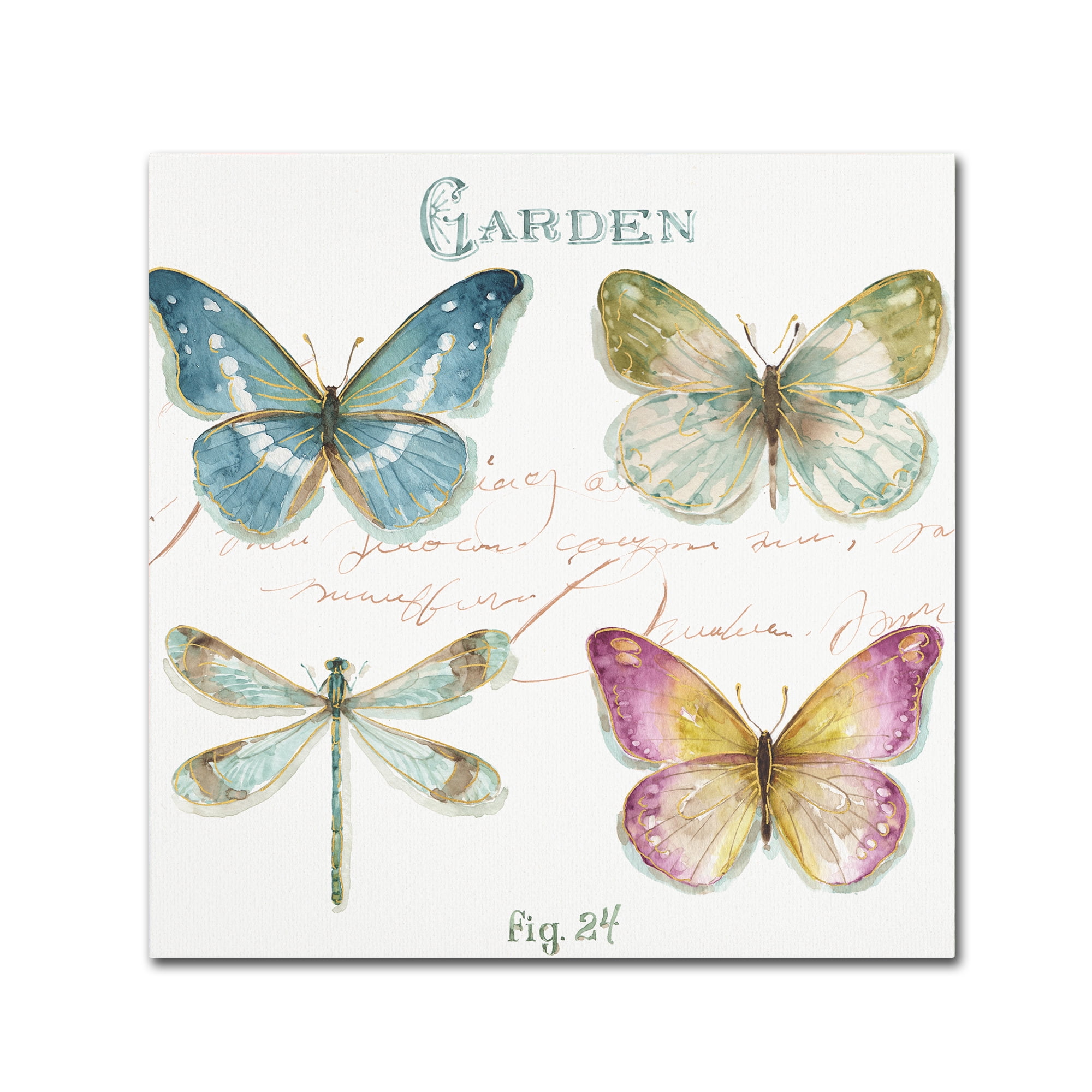 Trademark Fine Art "Rainbow Seeds Butterflies IV" Canvas Art by Lisa Audit
