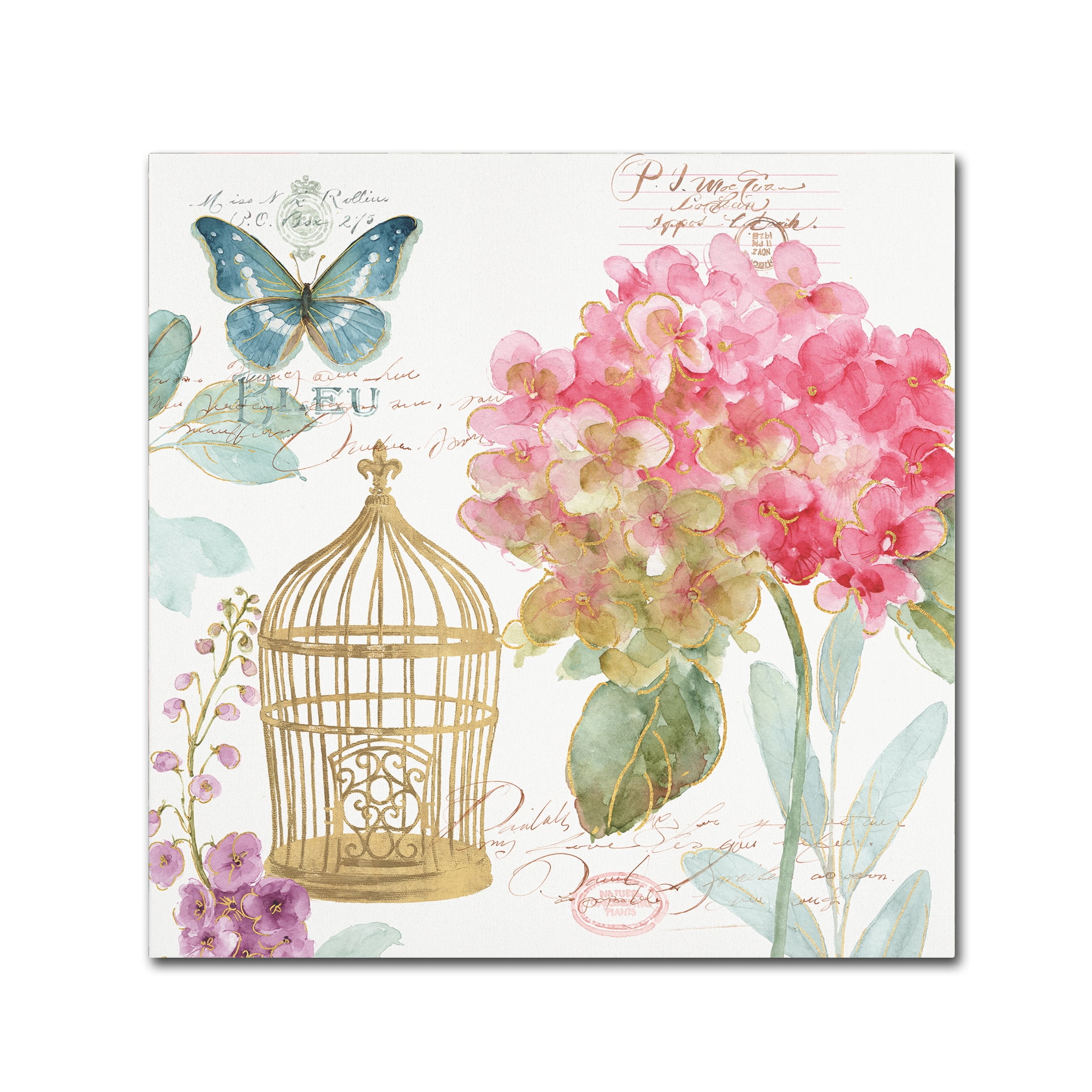 Trademark Fine Art "Rainbow Seeds Floral Birdcage II" Canvas Art by Lisa Audit