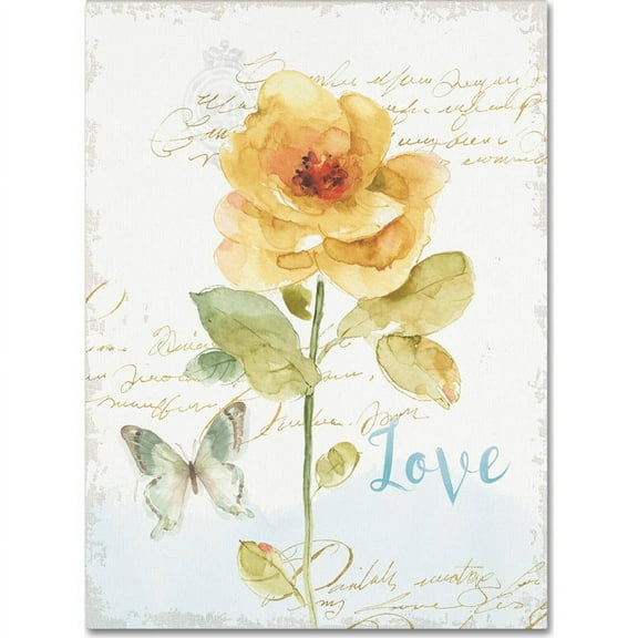 Trademark Fine Art "Rainbow Seeds Floral VIII Love" Canvas Art by Lisa Audit