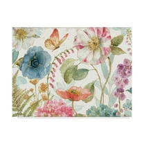 Trademark Fine Art 'Rainbow Seeds Flowers I Wood Crop' Canvas Art by Lisa Audit