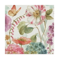 Trademark Fine Art 'Rainbow Seeds Flowers II' Canvas Art by Lisa Audit