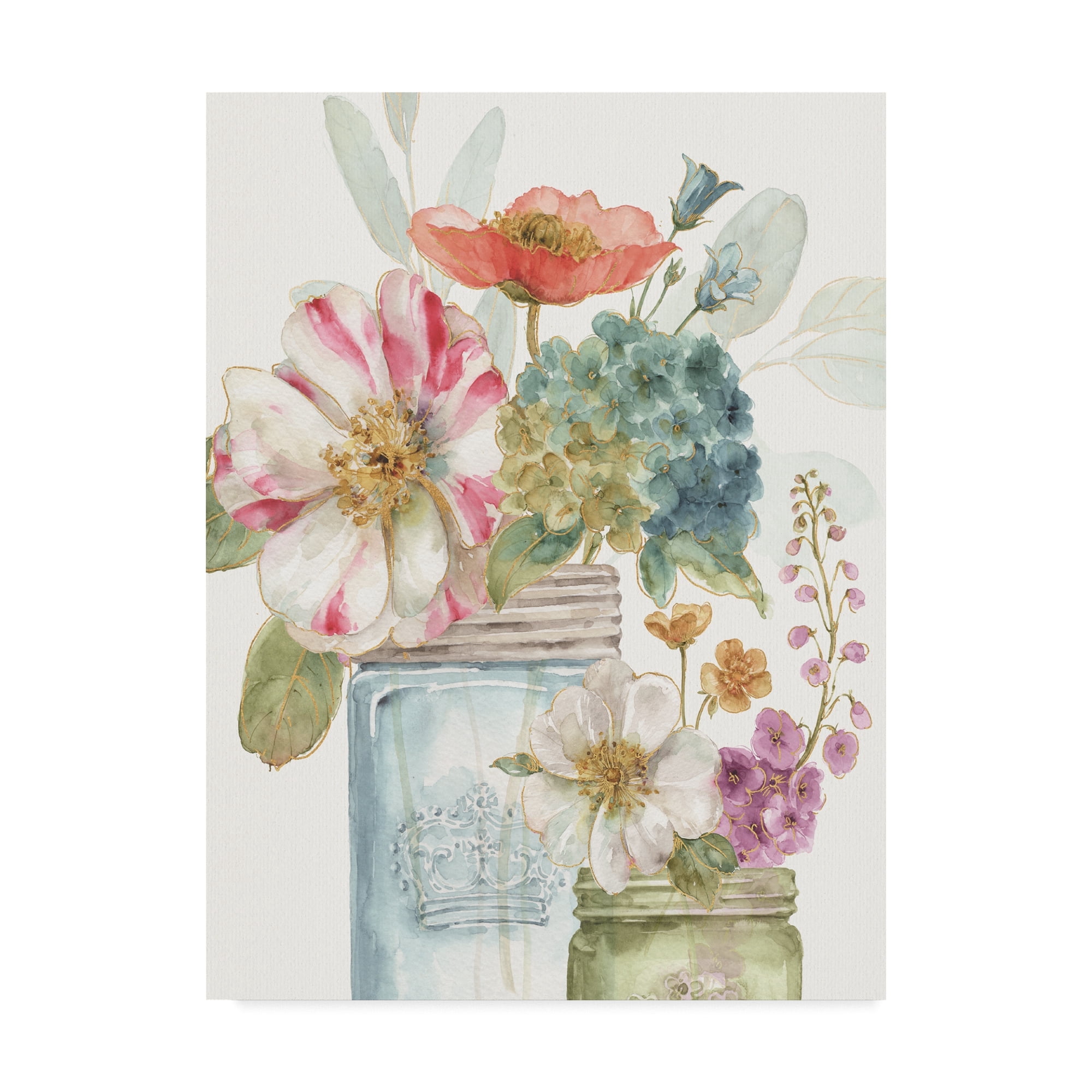 Trademark Fine Art 'Rainbow Seeds Flowers IX' Canvas Art by Lisa Audit