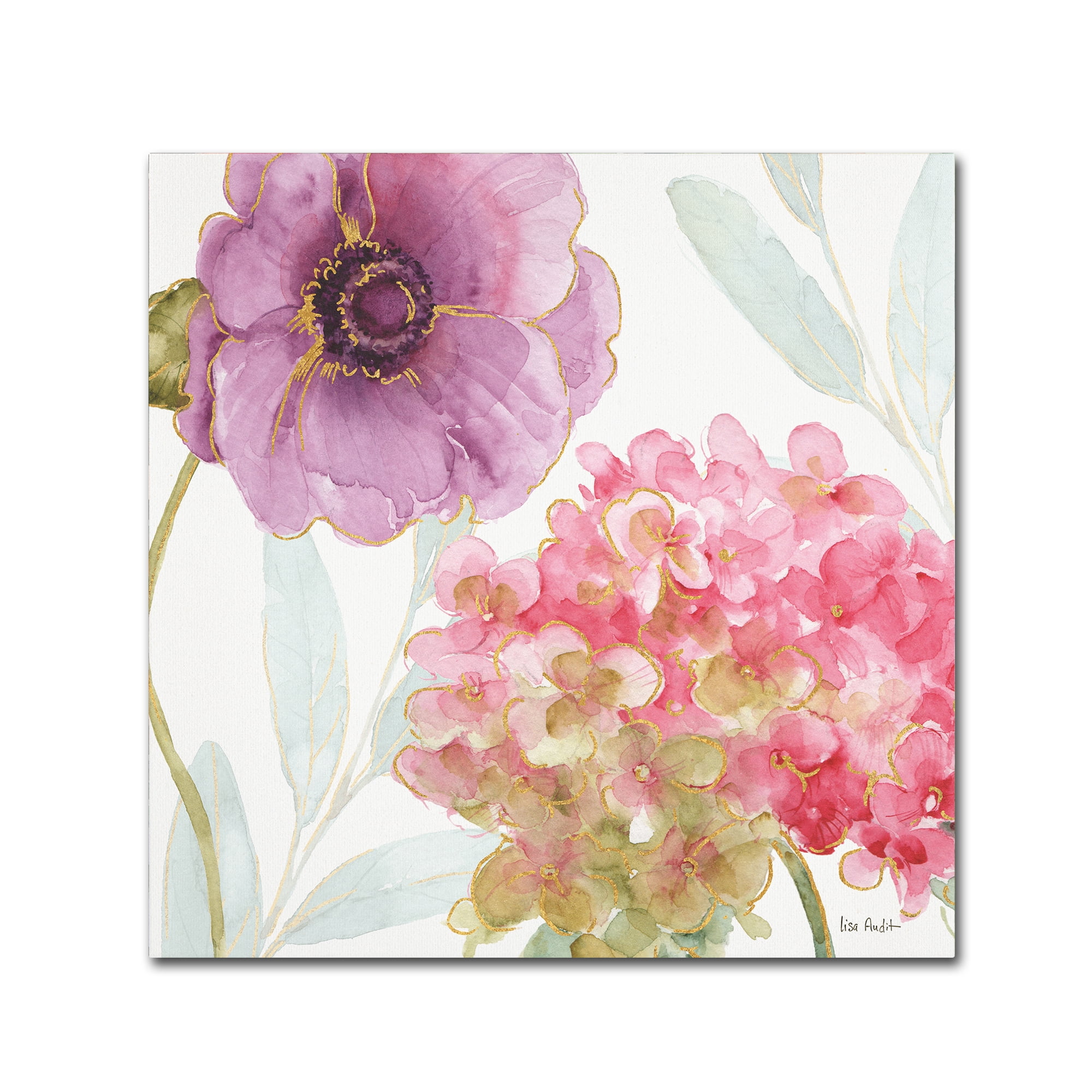 Trademark Fine Art "Rainbow Seeds Flowers V" Canvas Art by Lisa Audit