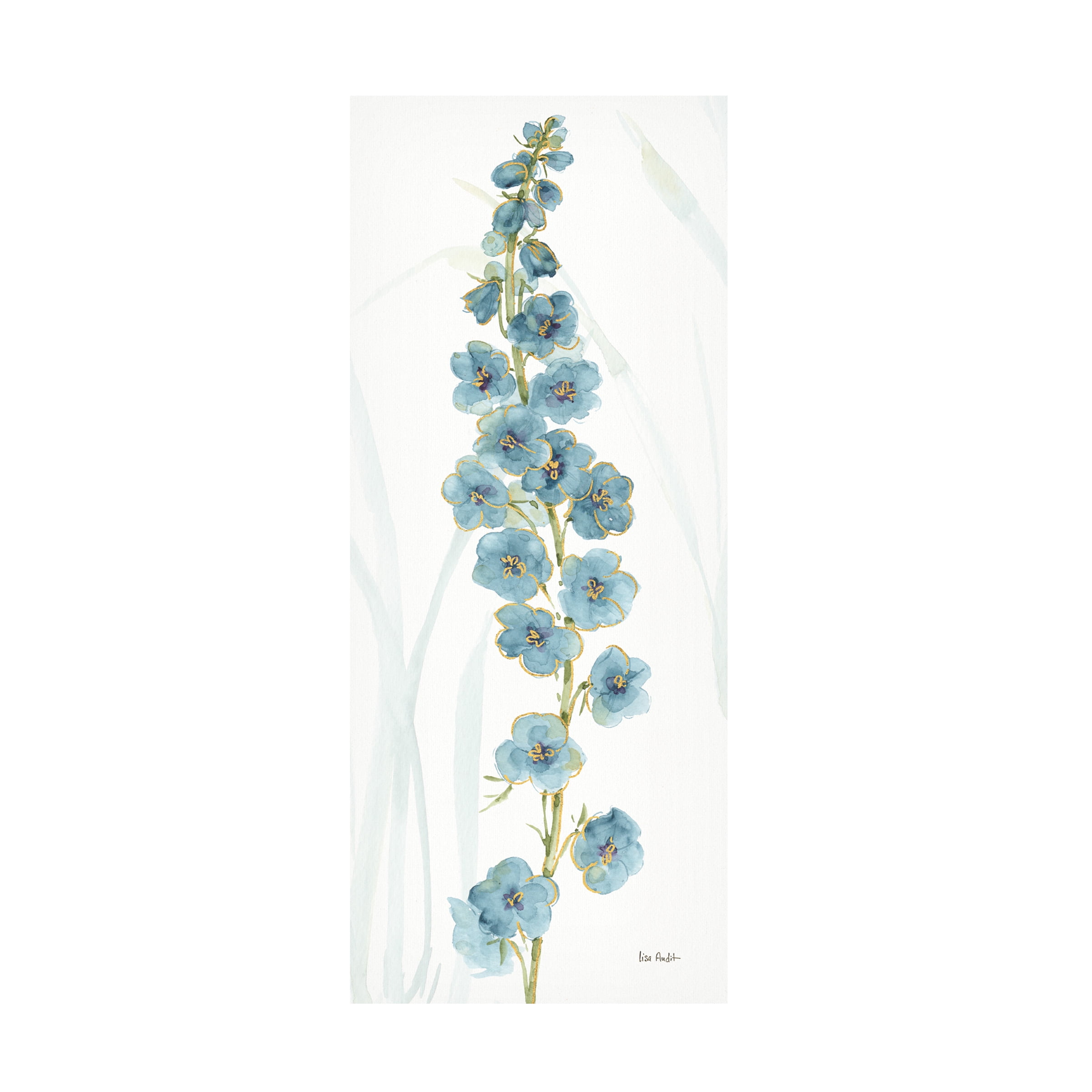 Trademark Fine Art "Rainbow Seeds Flowers VI" Canvas Art by Lisa Audit