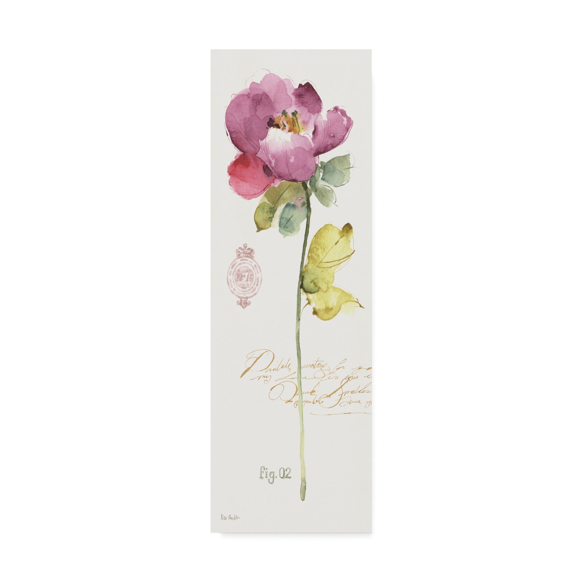 Trademark Fine Art 'Rainbow Seeds Loose Floral II' Canvas Art by Lisa Audit