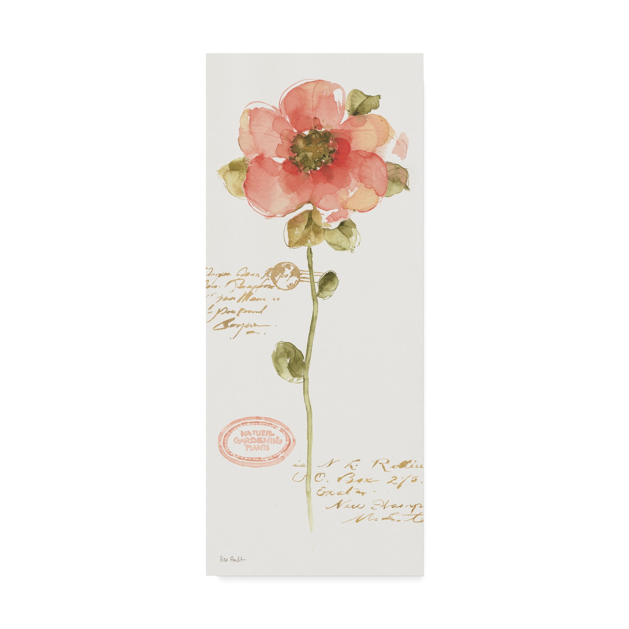 Trademark Fine Art 'Rainbow Seeds Loose Floral IV' Canvas Art by Lisa Audit