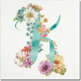 thumbnail image 1 of Trademark Fine Art "Rainbow Seeds Monogram K" Canvas Art by Lisa Audit, 1 of 3