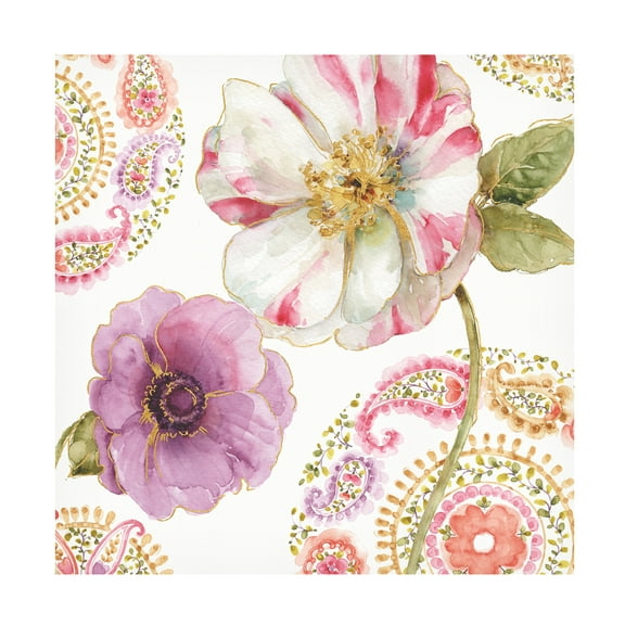 Trademark Fine Art "Rainbow Seeds Paisley I" Canvas Art by Lisa Audit