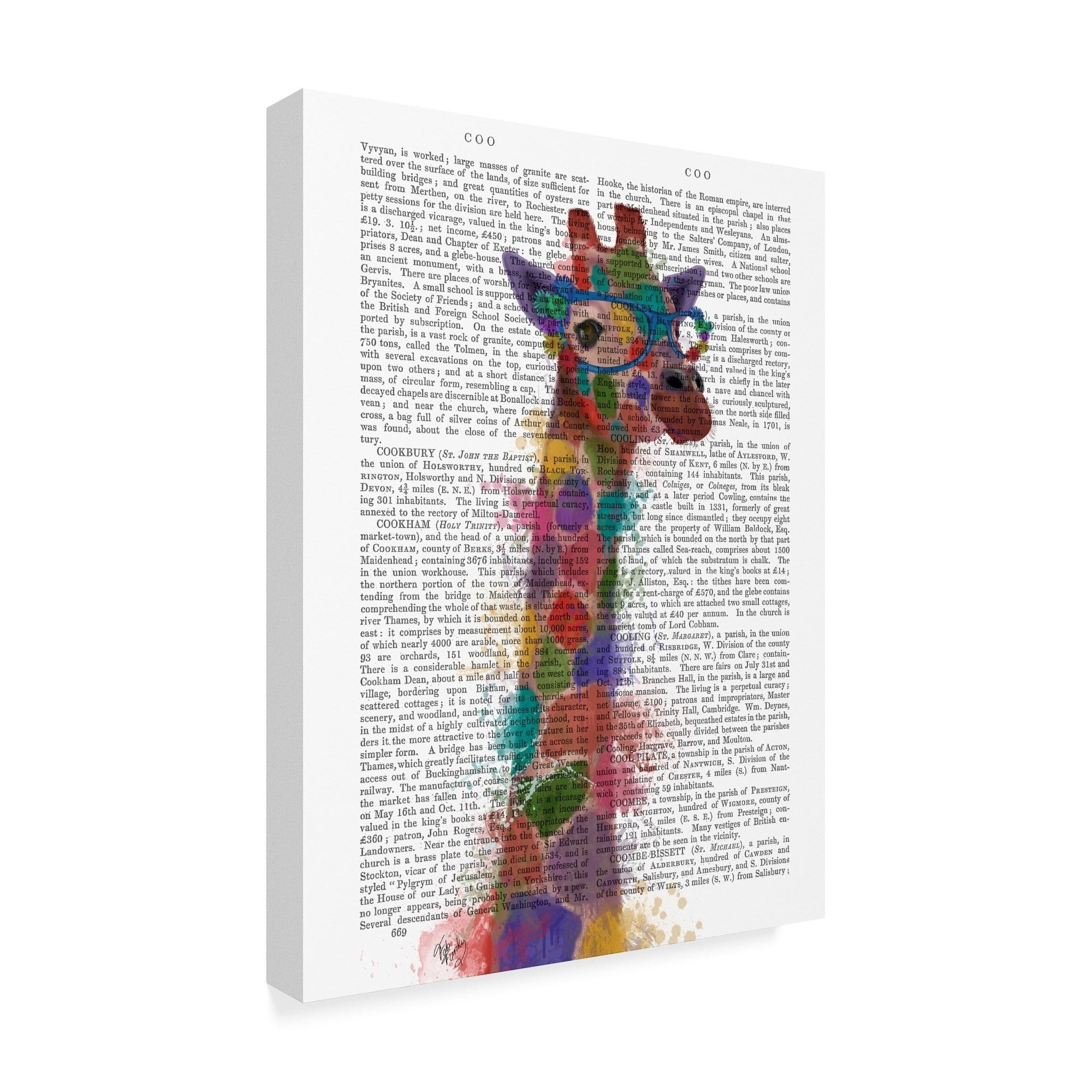 Trademark Fine Art 'Rainbow Splash Text Giraffe 3' Canvas Art by Fab Funky