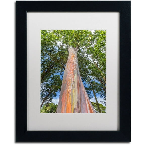 Trademark Fine Art 'Rainbow Tree' Canvas Art by Pierre Leclerc, White Matte, Black Frame