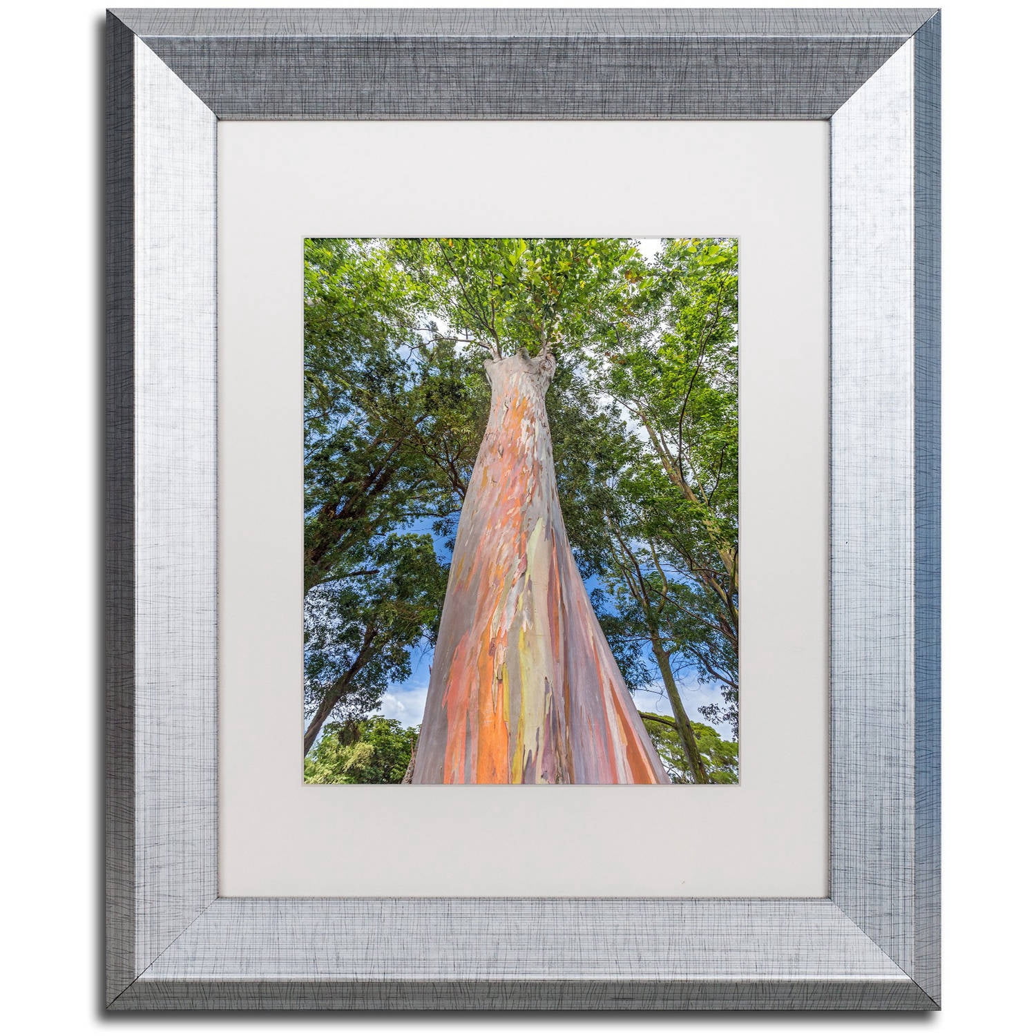 Trademark Fine Art 'Rainbow Tree' Canvas Art by Pierre Leclerc, White Matte, Silver Frame